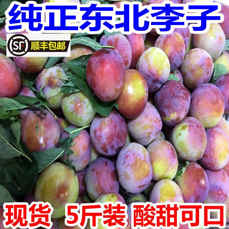 东北李子盖县香蕉李子盖大盖州鸡心李子5斤装大红袍李子当季水果