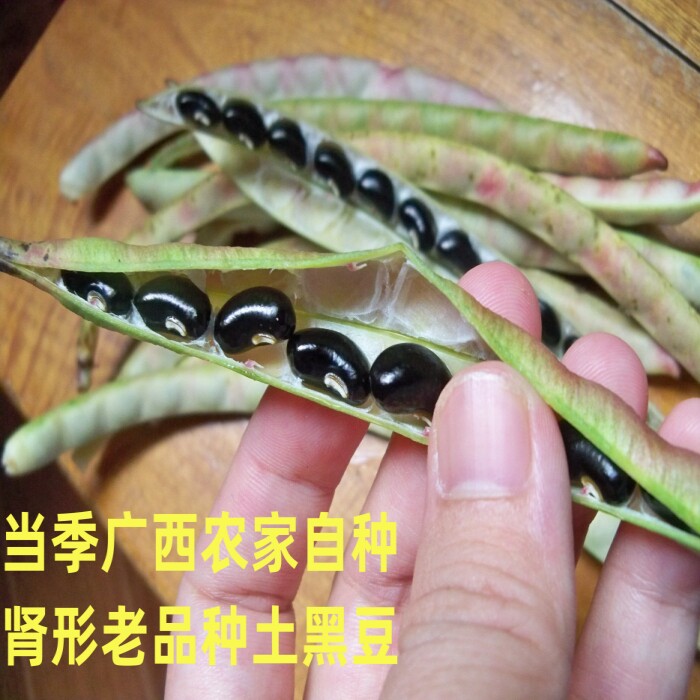 当季新豆手工精选新鲜饱满颗粒土黑豆煮熟后又软又糯又粉又香。
