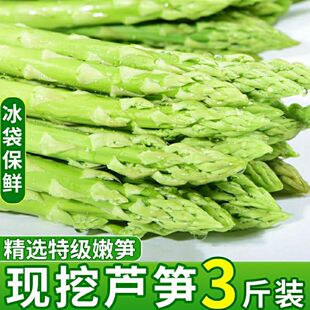 芦笋新鲜现采产地直销嫩绿青芦笋薄皮嫩芽去除老根现挖蔬菜芦笋