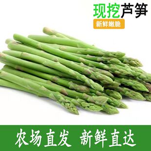 嫩绿青芦笋去老根 曹县芦笋新鲜现采笋尖农家现挖5斤新鲜蔬菜当季