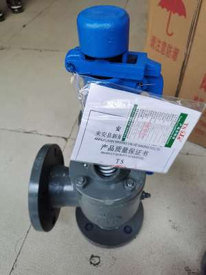 安全阀A28Y16新星法兰锅炉