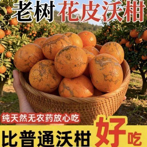 正宗广西沃柑超甜武鸣新鲜当季水果薄皮橘子5斤9斤花皮桔子包邮,水产肉类/新鲜蔬果/熟食,桔子,淘宝优惠券,粉丝福利购,淘宝优惠卷