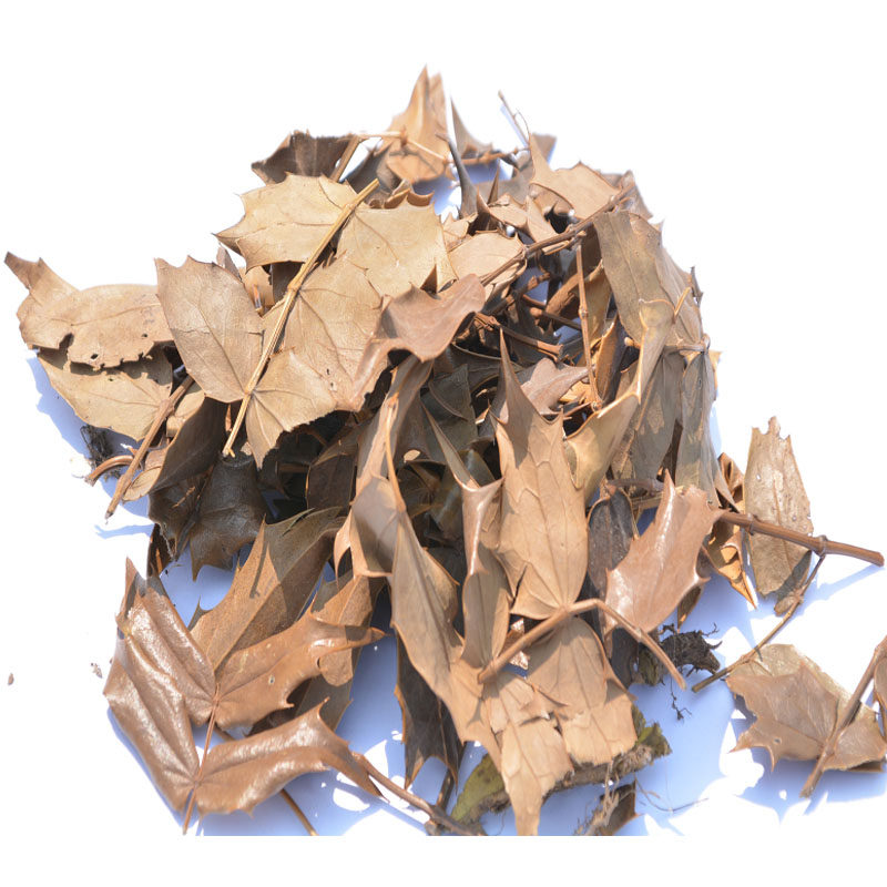 刺黄连叶子土黄柏猫儿头狗骨叶子十大功劳叶子刺黄莲叶子500g包邮