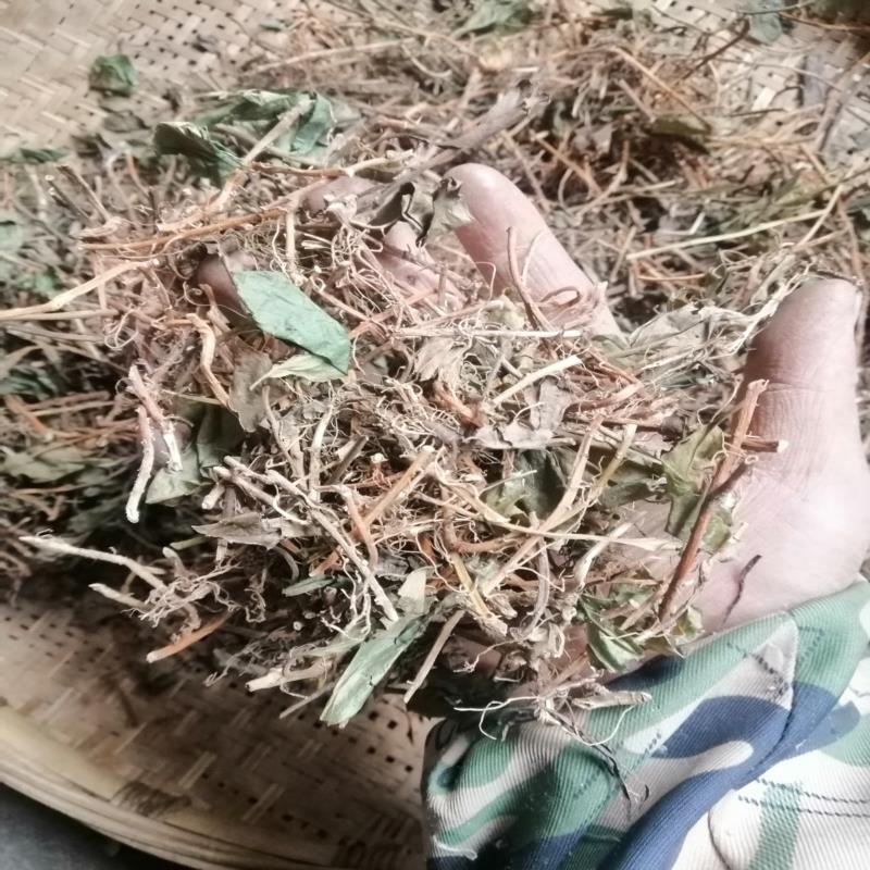 三角咪新货干品贵州野生中药材山板凳毛叶板凳果铁螃蟹500克包邮