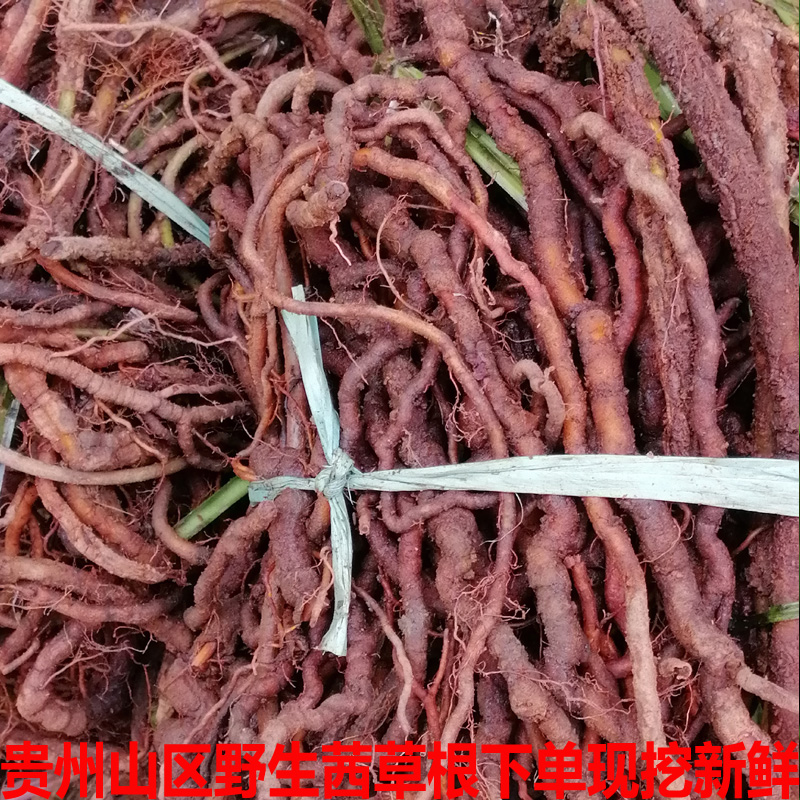 小血藤 茜草贵州纯野生血见愁 过山龙 地苏木 红龙须根新鲜500g