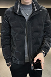 2024冬季男士立领压花羽绒服短款白鸭绒男外套3YR601-P145控195，男装羽绒服，电商A400-1（原B352）