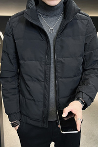 新款冬季店主风修身立领刺绣轻薄羽绒服男外套1 MY28-P155控205图片