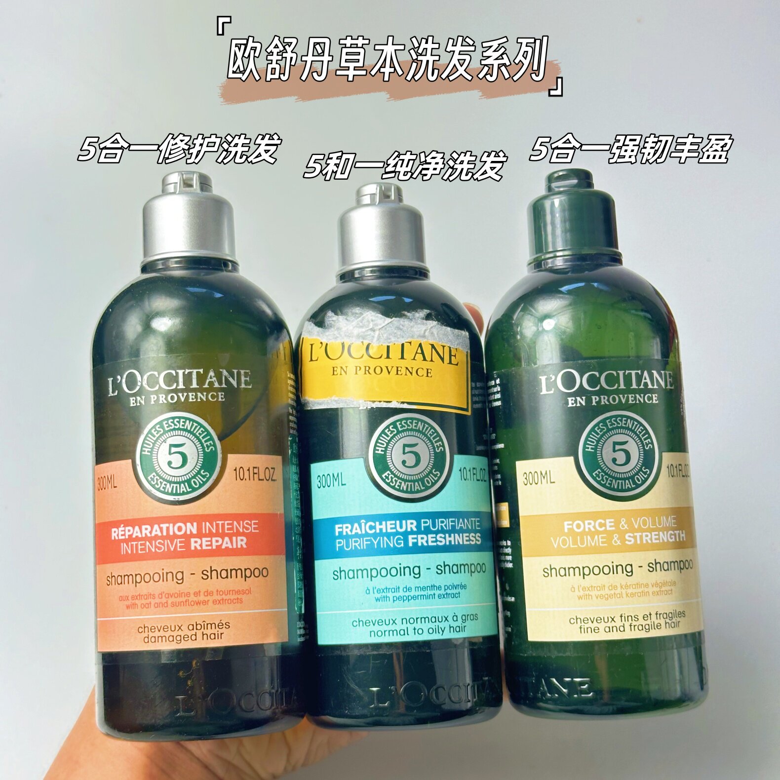 高颅顶的秘密~欧舒丹5合1草本纯净控油洗发水蓬松控油清爽修护