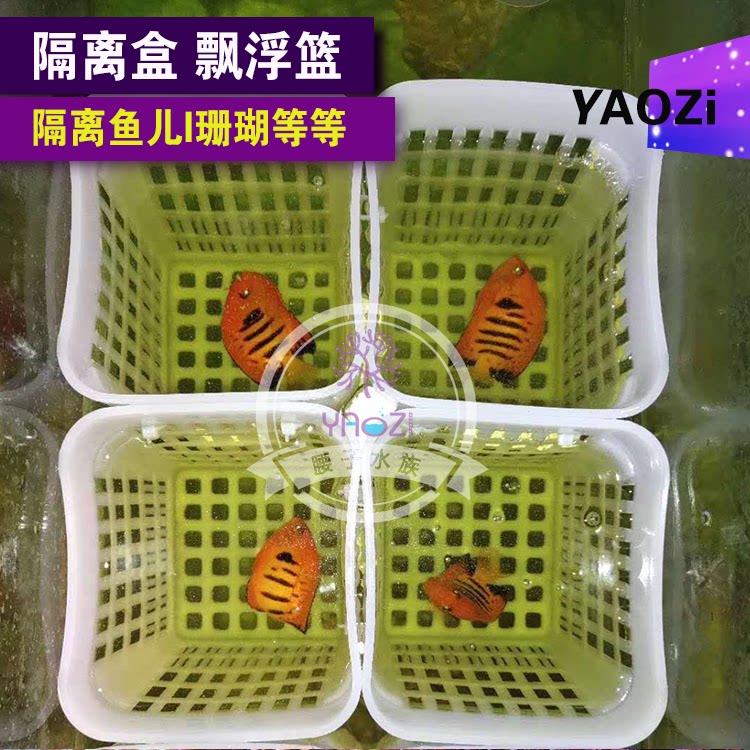 腰子水族 鱼缸隔离盒漂浮珊瑚鱼其它水族用具设备