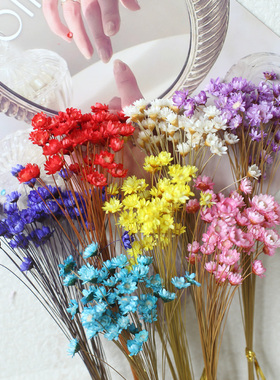 小星花巴西进口真花干花束DIY