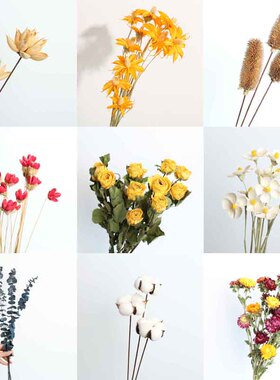 干花花束向日葵尤加利棉花玫瑰雏菊兔尾草 DIY插花花材家居装饰