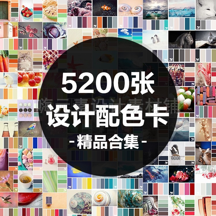 设计实用配色方案色彩搭配大全室内网页设计软装色卡搭配自动秒发