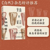 进化 证言 让牙齿开口说话 奥秘 科普 塔尼亚M史密斯著 社图书正版 中信出版 牙齿 破解我们人类演化 人体