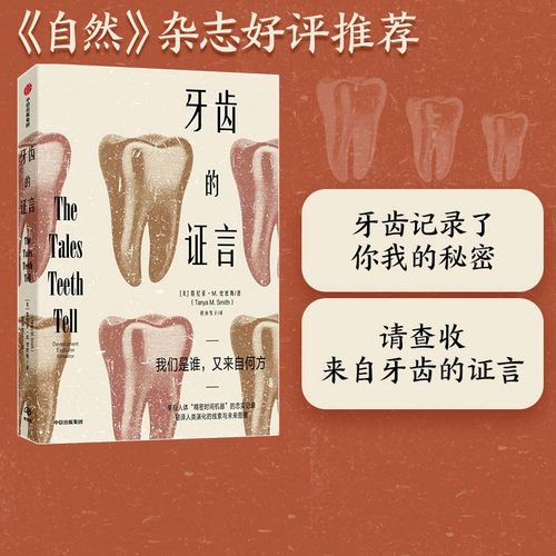 牙齿的证言塔尼亚史密斯中信出版