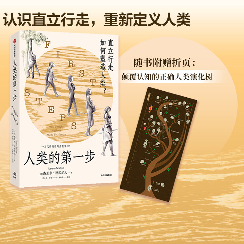 人类的第一步 直立行走如何塑造人类 杰里米德席尔瓦著 附赠折页—学