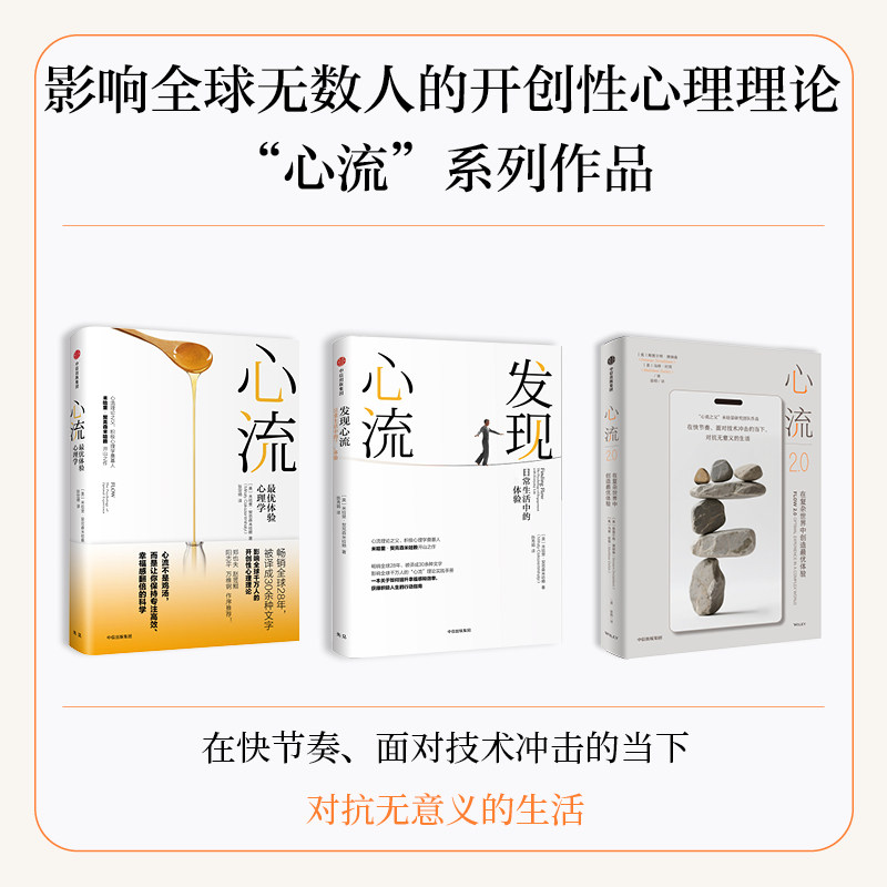 心流 心流2 0 发现心流 米哈里 契克森米哈赖 斯图尔特 唐纳森 马修 杜宾著 中信