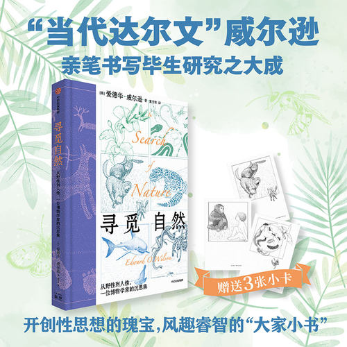 寻觅自然从野性到人性中信出版