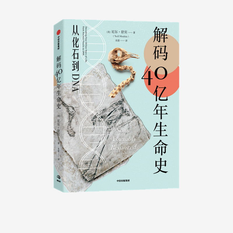 解码40亿年生命史从化石到DNA 尼尔舒宾著 周忠和 尹烨 冯伟民推荐 用科学新知+趣味故事揭开物种起源之谜中信出版社图书正版
