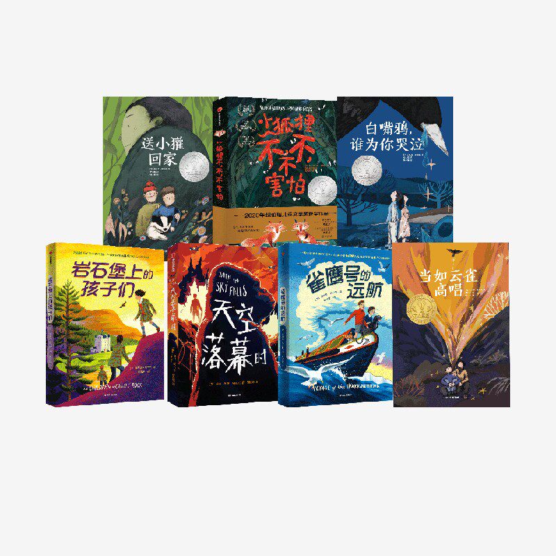 【7-15岁】我爱读国际大奖小说系列（第三辑）克里斯蒂安·海迪克 等著 孩子生存启蒙课 儿童文学 中信出版社图书 正版