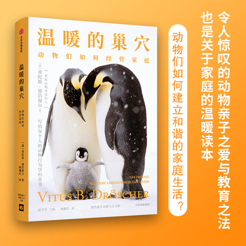 温暖的巢穴费陀斯德浩谢尔中信