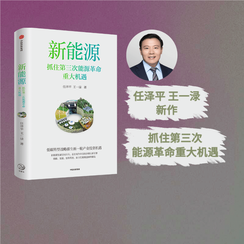 新能源任泽平中信出版