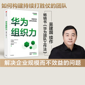 向内看 社正版 华为组织力 中信出版 保持增长活力 练好基本功 经纬创投创始管理合伙人张颖作序推荐 包邮 吴建国等著 签名版