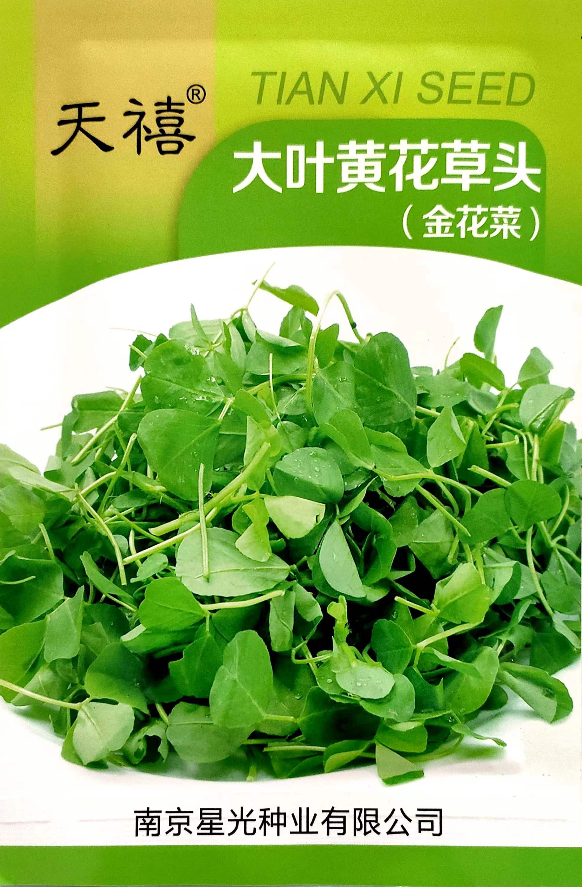 金花菜草头种子三叶秧草大叶黄花菜苜蓿上海特产春秋季蔬菜包邮