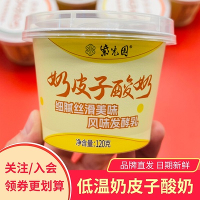 紫光园奶皮子酸奶低温细腻丝滑