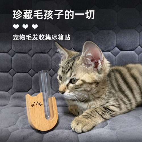 宠物毛发纪念毛发品定制