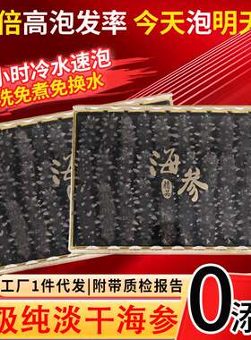 大连纯淡干海参冷水速发海参干货野生辽刺参FD礼盒非即食辽参冻干