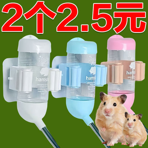 宠物小仓鼠金丝熊刺猬睡