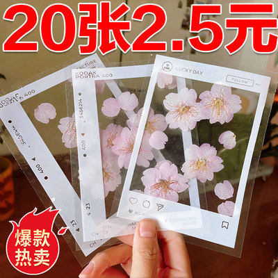 植物手工自制DIY书签透明