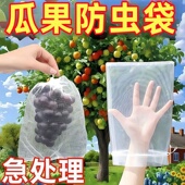 水果套袋防鸟通用袋瓜果防虫专用袋无花果枇杷葡萄桃子草莓育苗袋