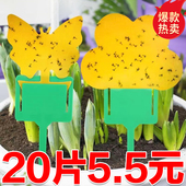 小黄板花型粘虫板小黑飞粘虫板双面防水诱粘剂诱蝇球果蝇果园大棚