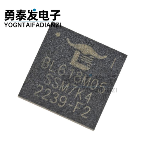 BL618超低功耗组合芯片