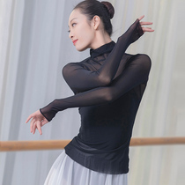 古典舞练功服女舞蹈纱衣飘逸高领长袖上衣显瘦现代舞演出服装性感