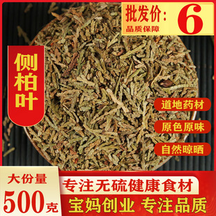 云南野生中药材侧柏叶 纯天然干侧柏叶 柏树叶 500g包邮