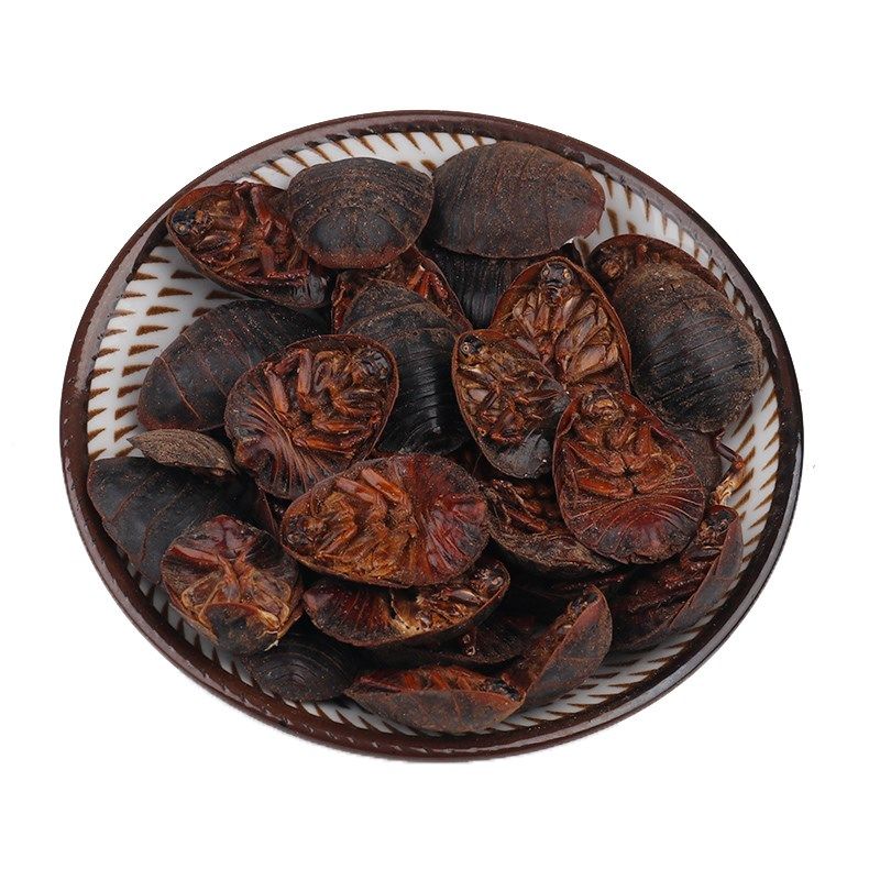 中药材 特级土元 天然土鳖虫 正品地鳖虫 蛰虫 新鲜干货 散装500g