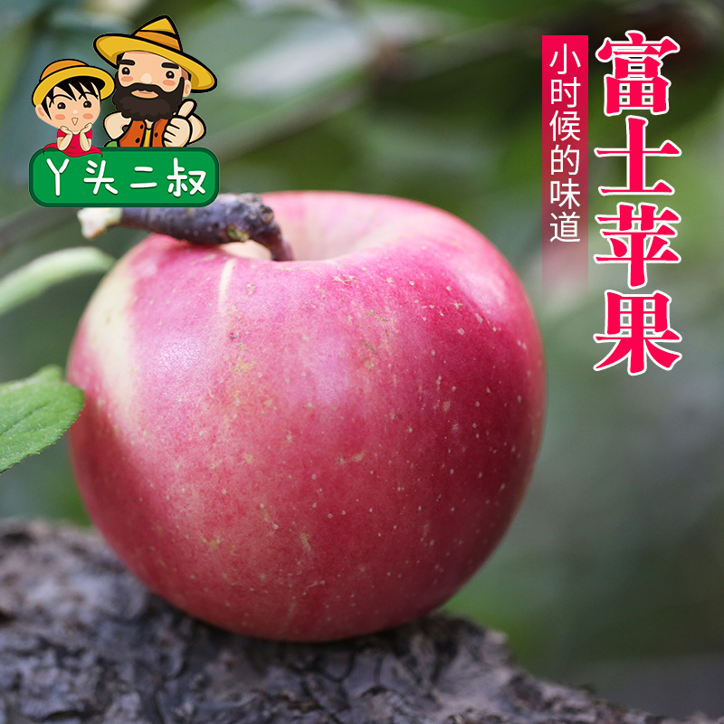 密云新鲜水果苹果富士苹果