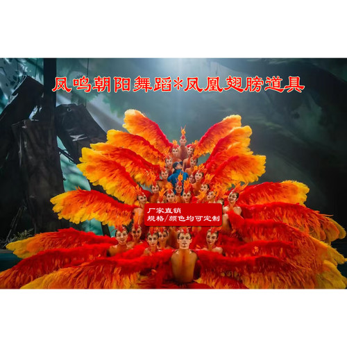 凤鸣朝阳舞蹈春晚天古典舞黄红大号凤凰羽毛凤凰翅膀舞台演出道具