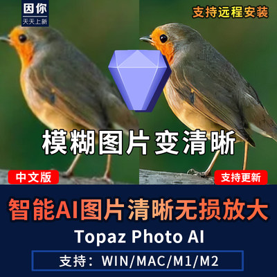 Topaz Photo AI图片无损放大降噪锐化照片模糊修复清晰插件WinMac