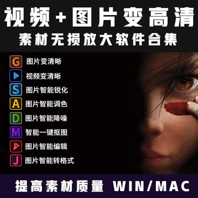 图片视频画质提升无损放大修复降噪Topaz AI中文汉化版全家桶全套