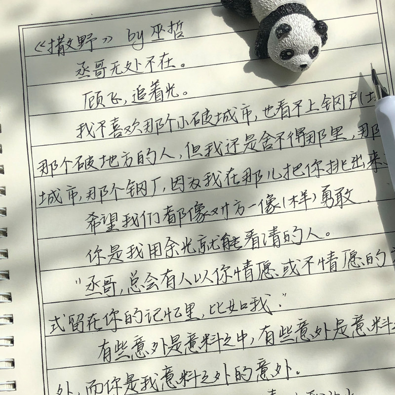 川酒手写行楷字帖女生钢笔行书