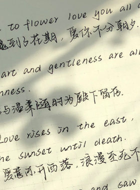 中英手写字帖白昼与眠网红神仙字体漂亮练字楷书行楷行书硬笔书法