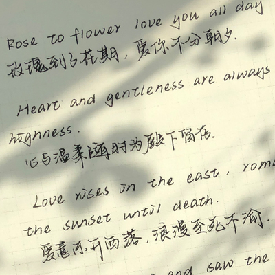 中英手写字帖白昼与眠网红神仙字体漂亮练字楷书行楷行书硬笔书法