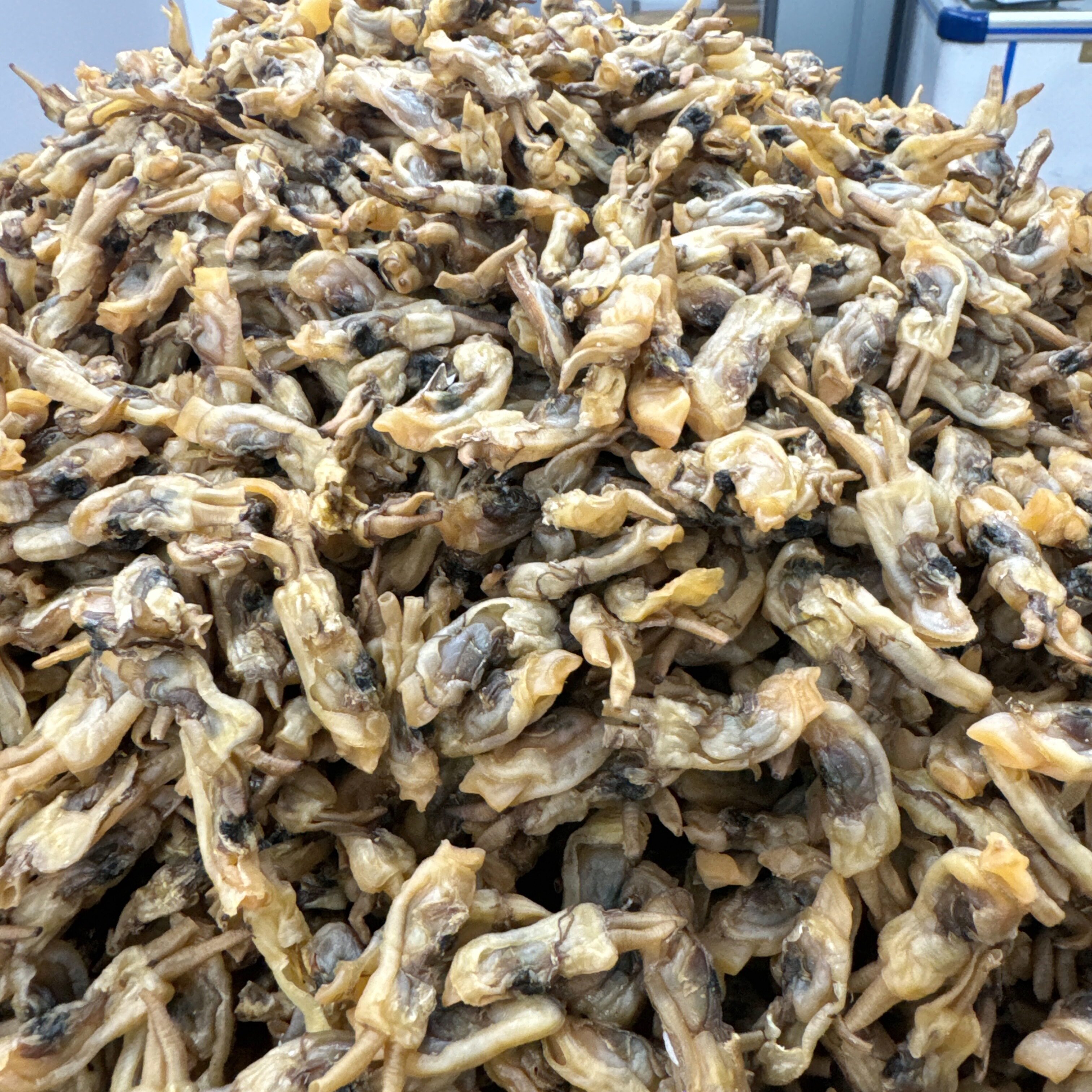 闽南特产小个头无沙蛏干海鲜干货福安蛏干鲜甜美味