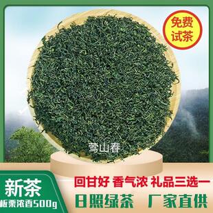 【超5千回头客】山东日照绿茶正宗2025新茶叶散装耐泡板栗浓香型