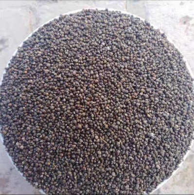 农家直销紫苏种子荏籽24新品1斤