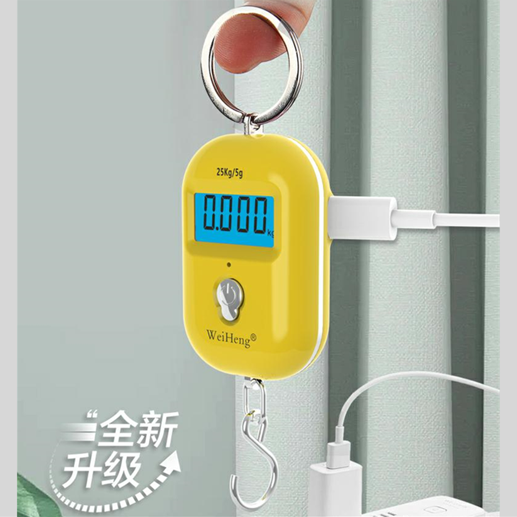 充电手提秤快递行李物流50kg家用