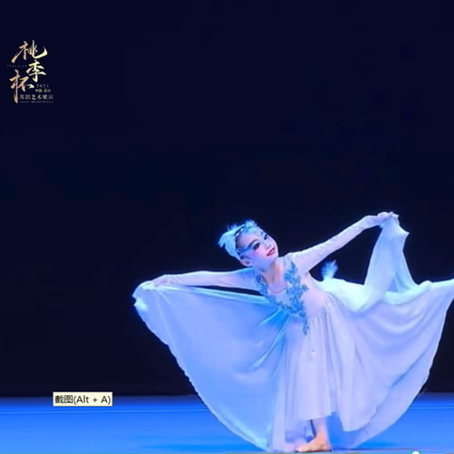 誉小禾2025古典舞雪纺氨纶面料